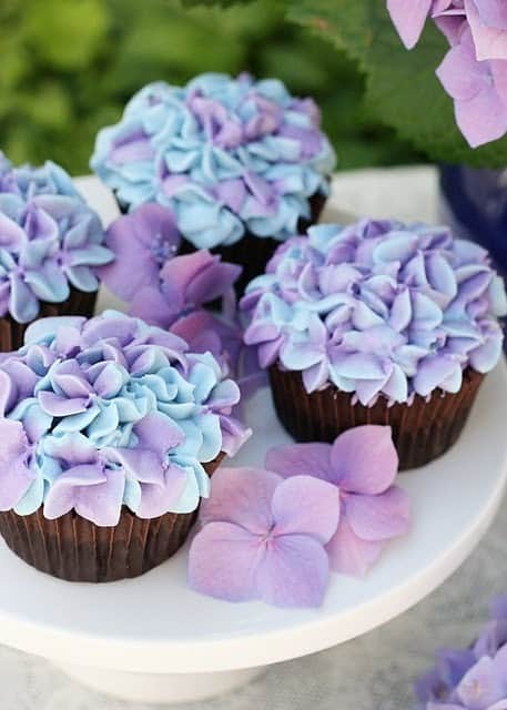 Gorgeous Purple Cupcakes