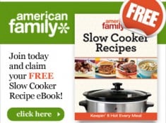 AFslowcooker300x250