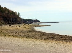 halls harbour