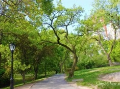 central park1