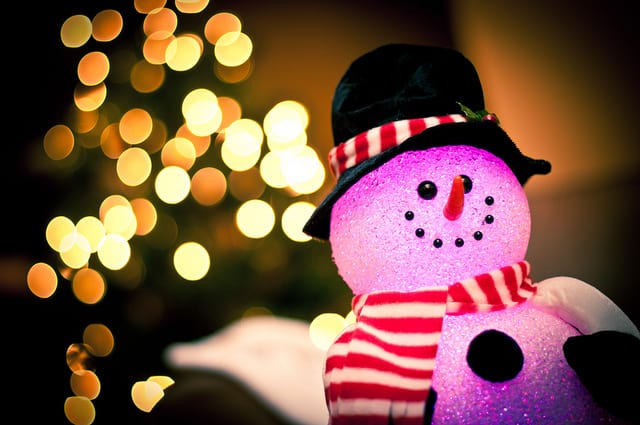 Bokeh Season Bokeh Season