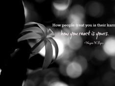 Karma quotes