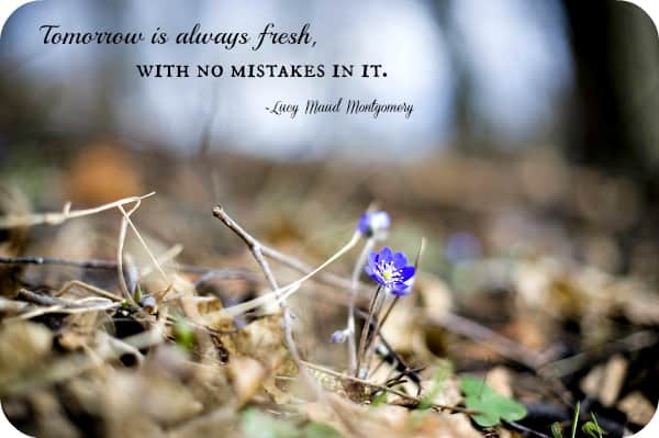 Quotes about Mistakes