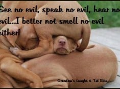 Smell No Evil