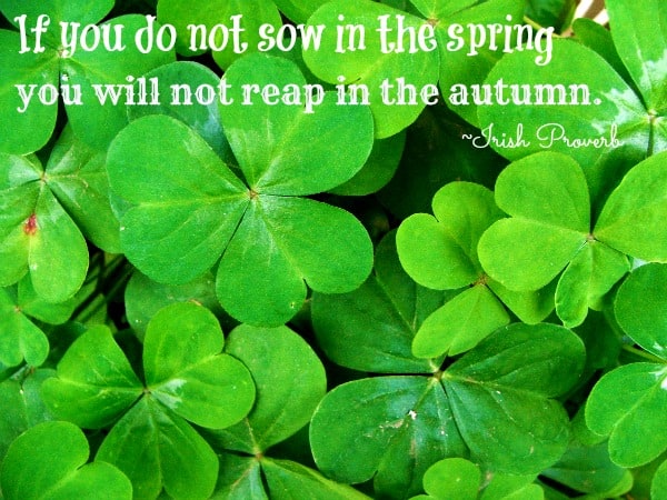 Irish Proverbs