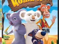 Koala Kid DVD Review