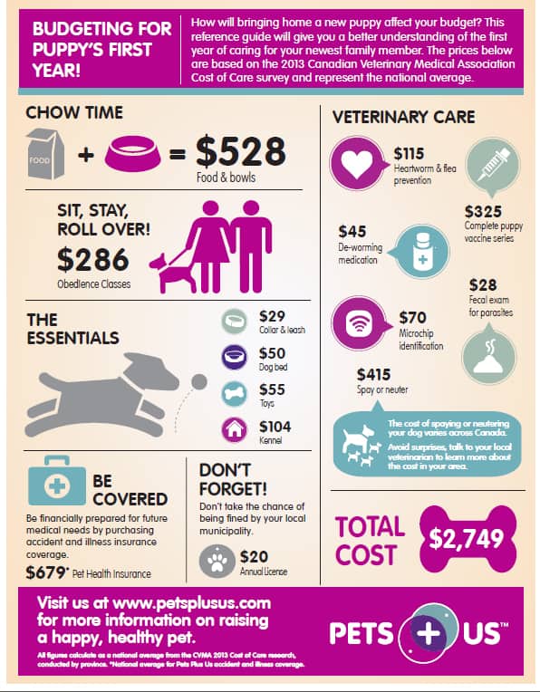 Budgeting for Puppy's First Year