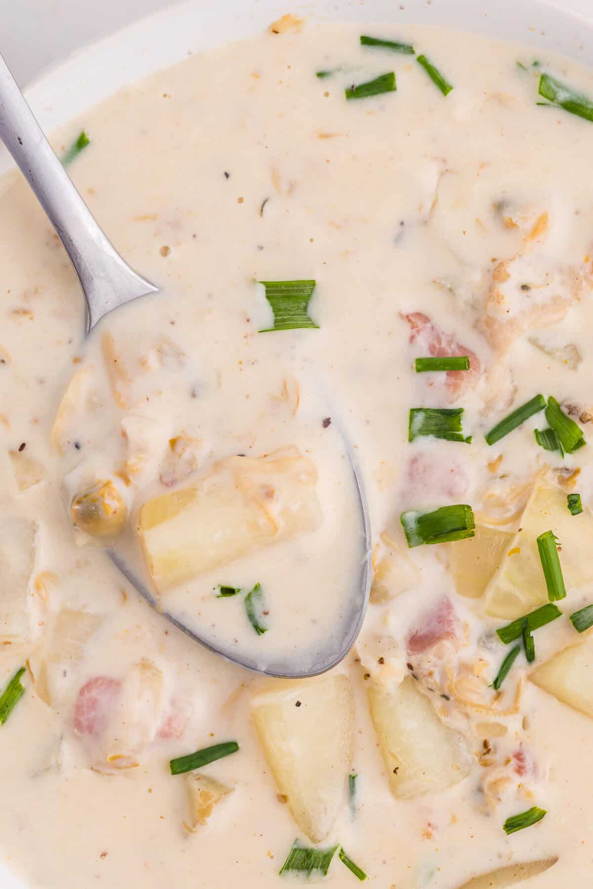 A spoon in a bowl of New England Clam Chowder.