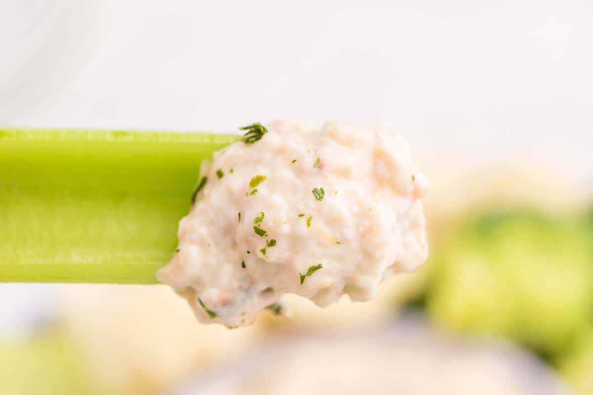 Grilled Eggplant Dip Recipe - An easy and healthy appetizer perfect for parties! Eggplant is grilled to perfection and added to a creamy lemon garlic yogurt based dip. Serve with fresh veggies or crackers.