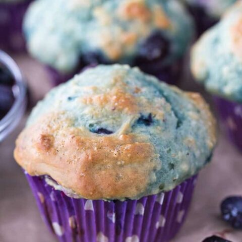 Blueberry Yogurt Muffins