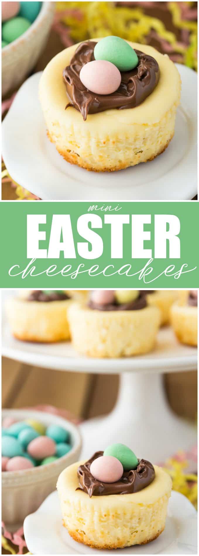 Mini Easter Cheesecakes - These individual cheesecakes are the perfect dessert to take to a potluck! Unlike a full-sized cheesecake, these mini delights don't need a water bath and are very easy to make!