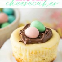 Mini Easter Cheesecakes - An easy Easter dessert to impress your guests!