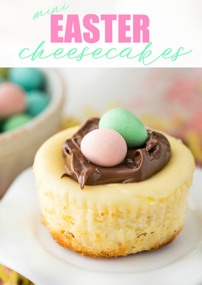 Mini Easter Cheesecakes - These individual cheesecakes are the perfect dessert to take to a potluck! Unlike a full-sized cheesecake, these mini delights don't need a water bath and are very easy to make!