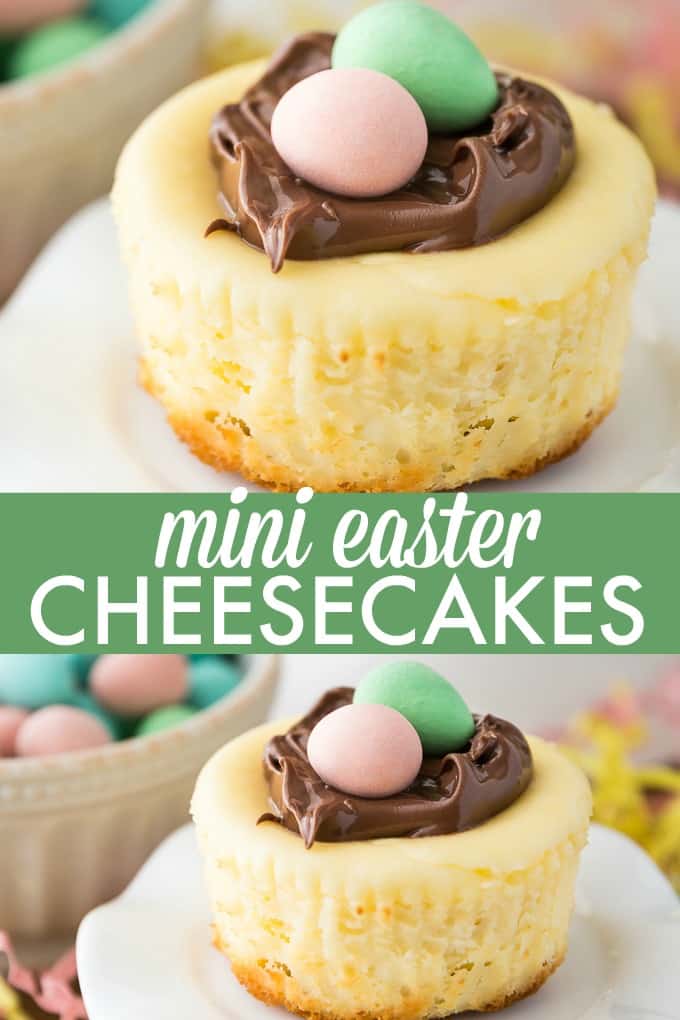 Mini Easter Cheesecakes - These individual cheesecakes are the perfect dessert to take to a potluck! Unlike a full-sized cheesecake, these mini delights don't need a water bath and are very easy to make!