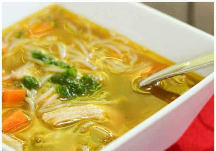 Asian Chicken Noodle Soup