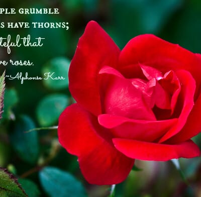 Quotes About Gratitude