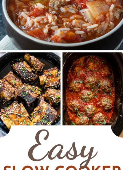 Easy Slow Cooker Recipes - In this collection of mouth-watering recipes, you will find savory recipes your family will love. From soups, stews, meats, and beans to spaghetti, lasagna, and even bread.