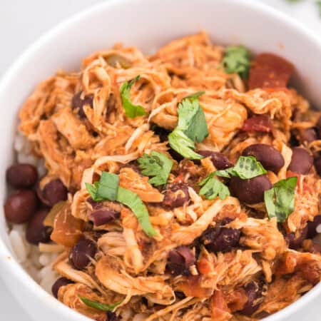 Slow Cooker Salsa Chicken - The EASIEST Crockpot recipe ever! Tender chicken breasts stew all day in a chunky salsa for an amazing busy day dinner.