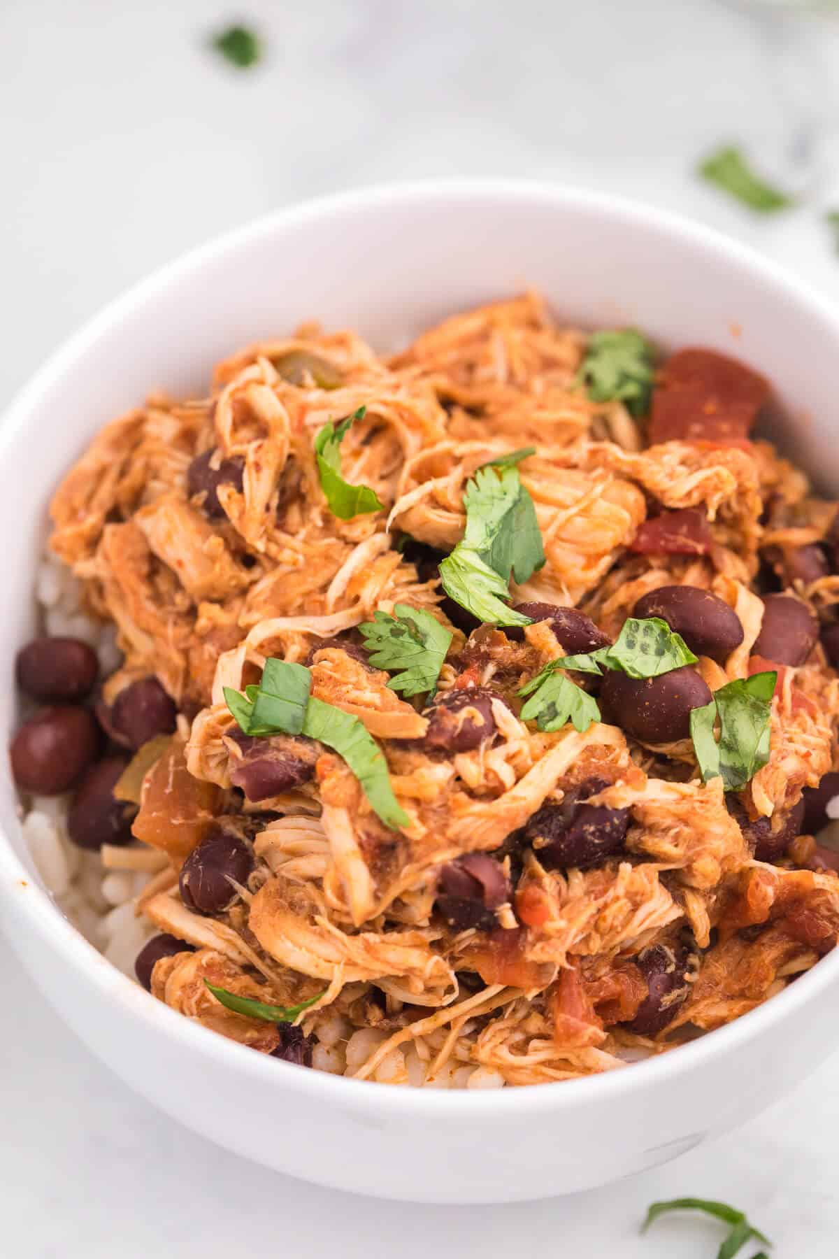 A bowl of salsa chicken.