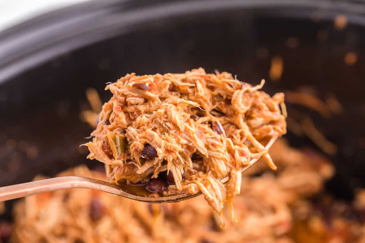 Salsa chicken on a serving spoon.