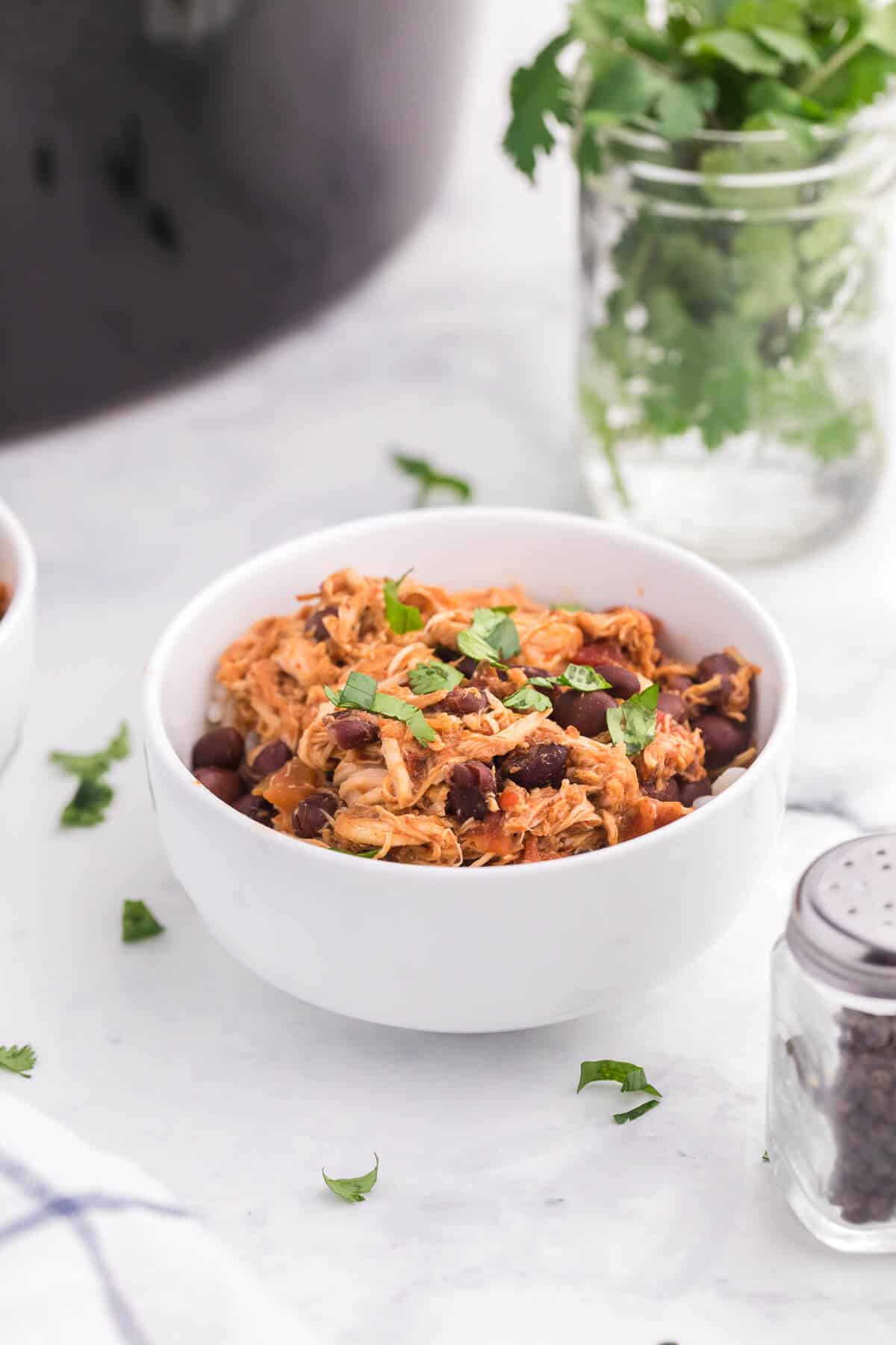 A bowl of salsa chicken.