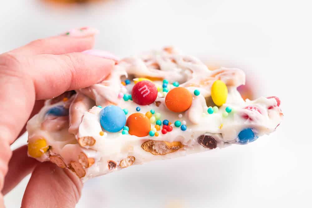 a hand holding a piece of rainbow bark