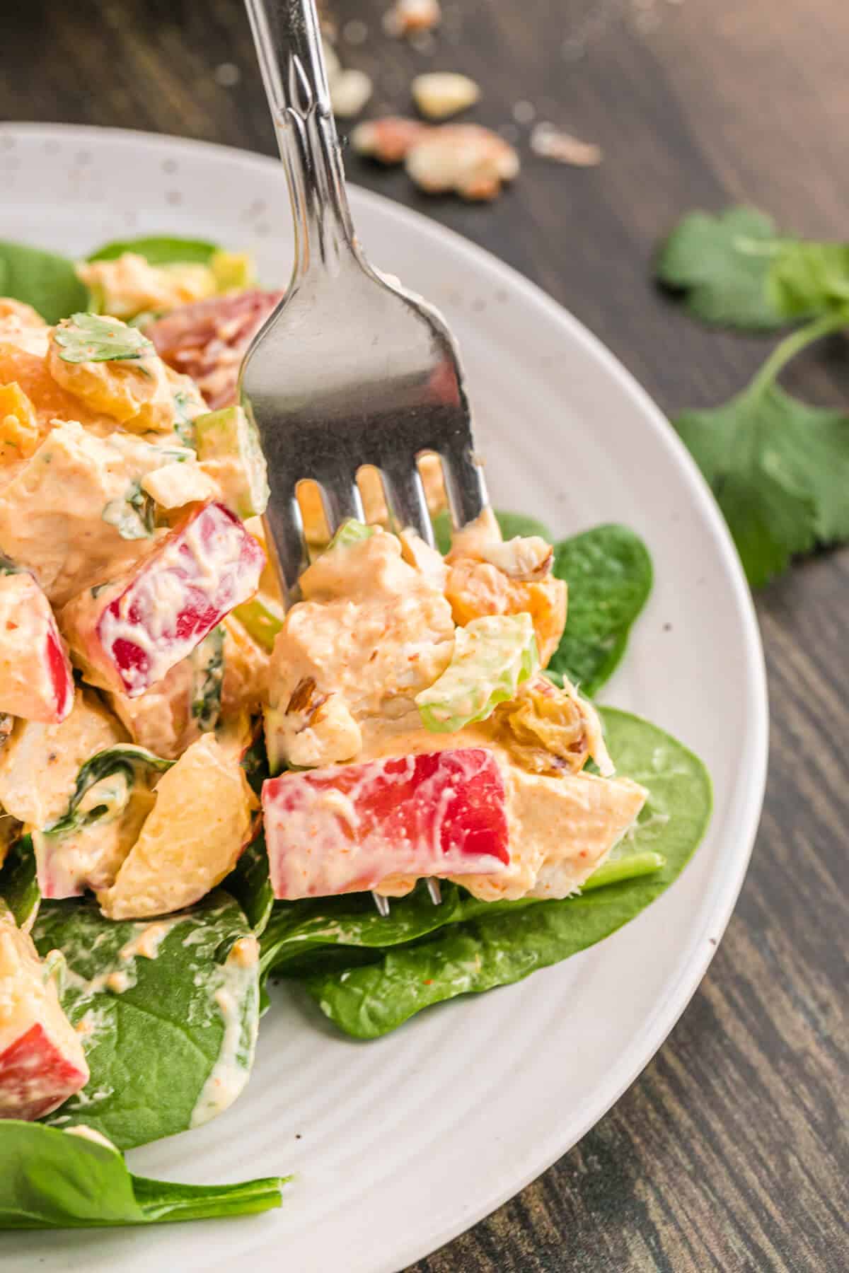 Famous curried chicken salad on a plate with a fork.