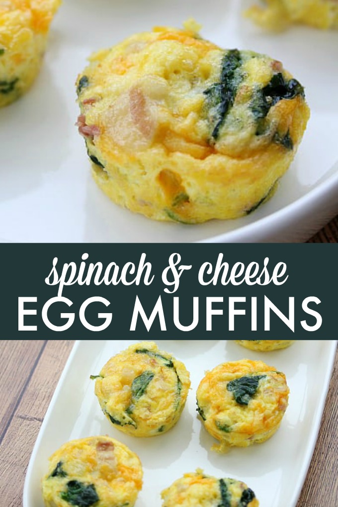 Spinach & Cheese Egg Muffins - Simply Stacie