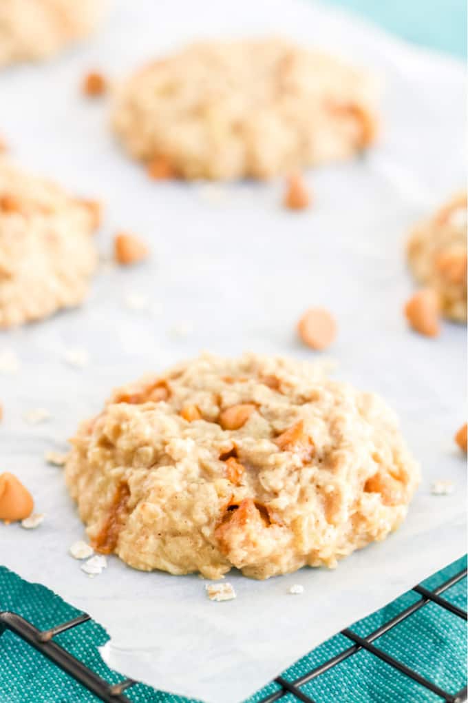 Pineapple Oatmeal Scotchies - Moist, chewy oatmeal cookies packed with pineapple and butterscotch are a delicious treat. Made with pantry items, they are quick and easy to whip together.