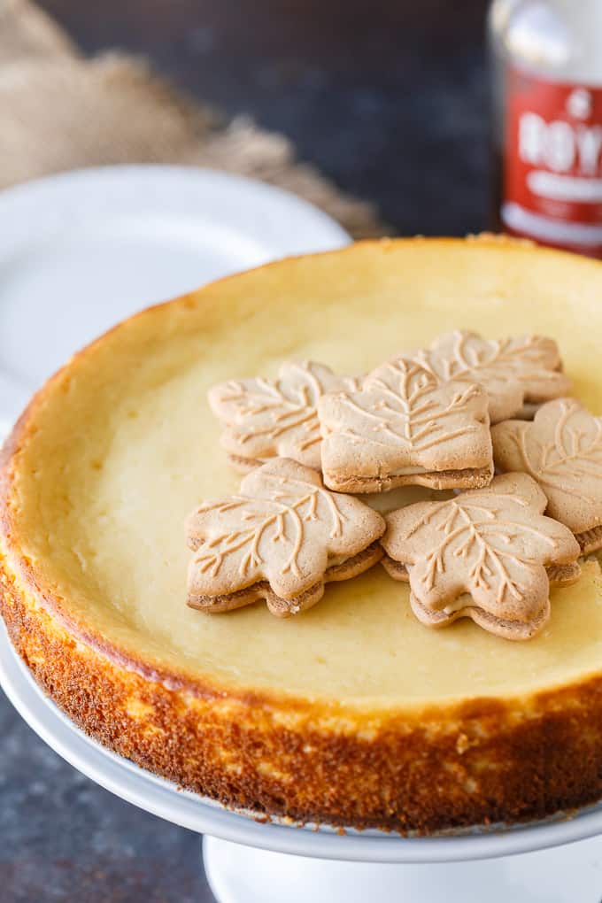 Maple Syrup Cheesecake - This might be the most Canadian cheesecake ever made! Using maple syrup to sweeten the cheesecake batter, and with maple syrup drizzled on top before serving, this smooth and creamy cheesecake is a great year round recipe - and perfect for a Canada Day celebration.