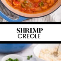 Shrimp creole collage pin.