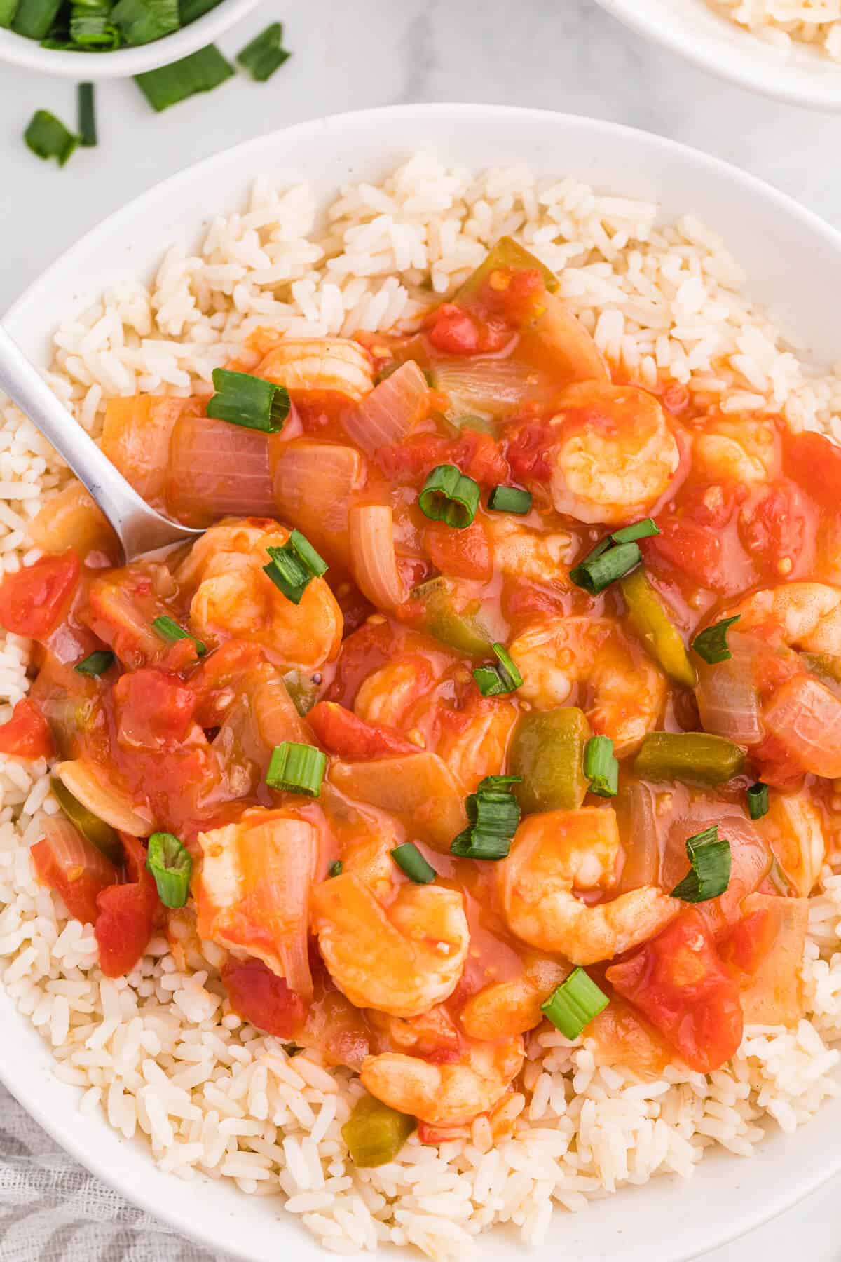 The recipe in a bowl with rice with a spoon.