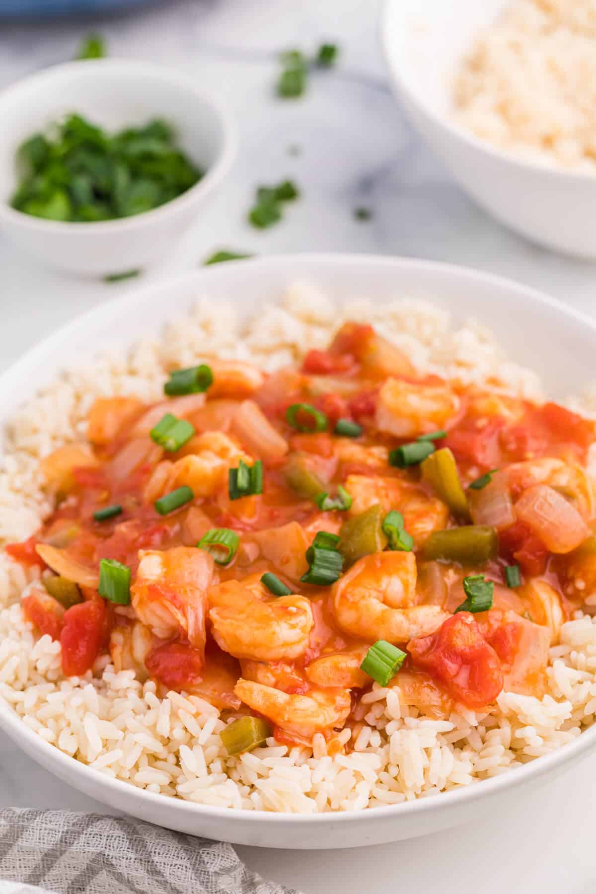 Shrimp creole in a bowl over a bed of rice.