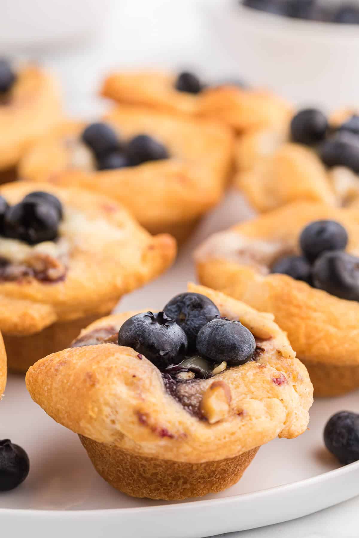 Blueberry Cheese Tarts - Sweet and savory combine in these delicate tarts! Serve as a sweet appetizer or a mini dessert.