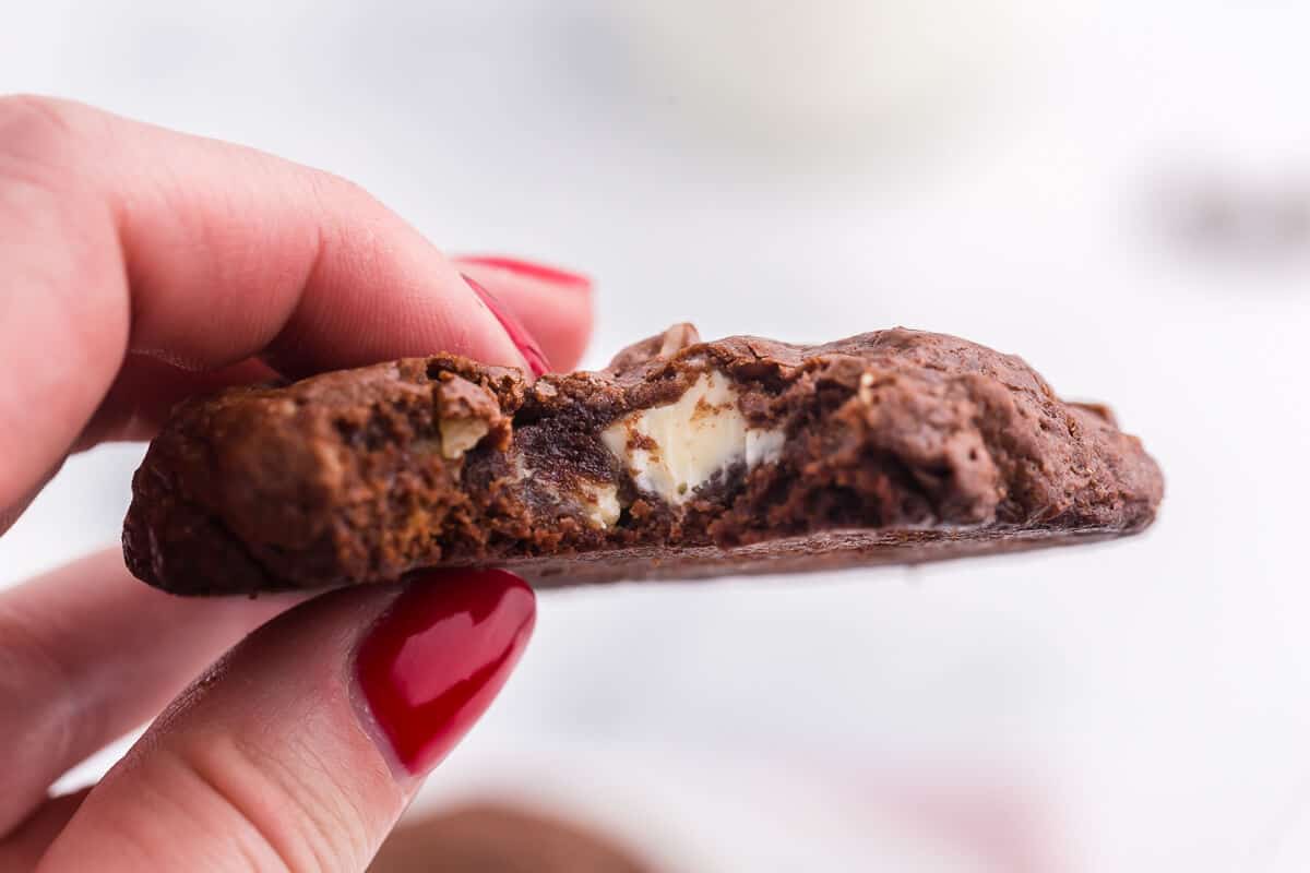 Death by Chocolate Cookies - Chocolate, chocolate and more chocolate!!!! These cookies are the definition of chocolatey goodness. A dark fudgy cookie with white chocolate and nuts are a perfect addition to your holiday baking list.