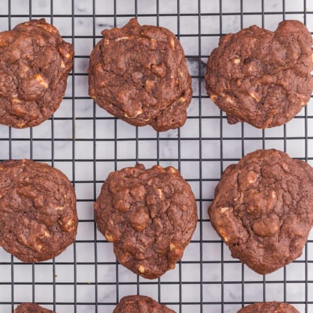Death by Chocolate Cookies - Chocolate, chocolate and more chocolate!!!! These cookies are the definition of chocolatey goodness. A dark fudgy cookie with white chocolate and nuts are a perfect addition to your holiday baking list.