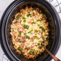 Slow Cooker Ham & Potato Hash - Creamy potatoes, salty ham and veggies make a winning recipe my family loves!