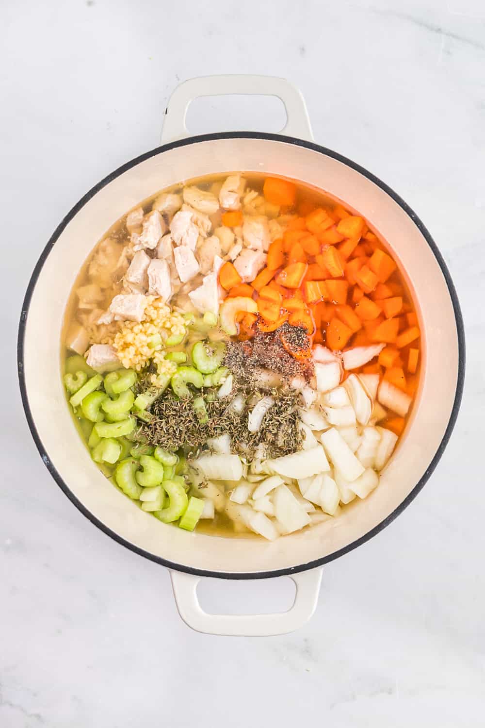 homemade chicken noodle soup ingredients in a pot