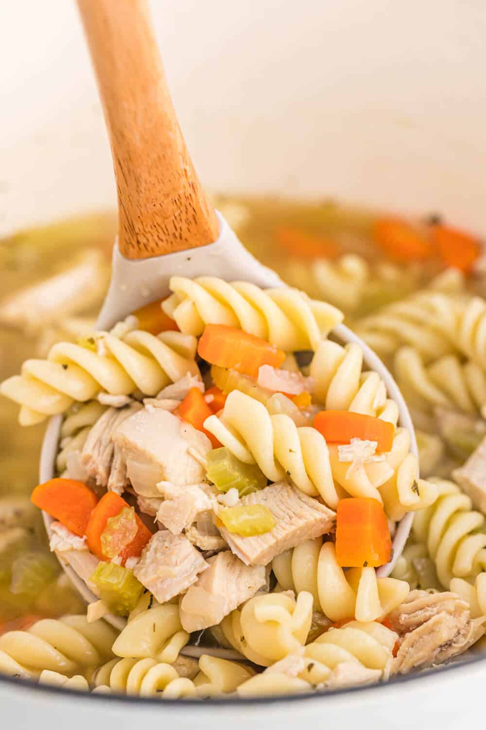 a ladle with chicken noodle soup