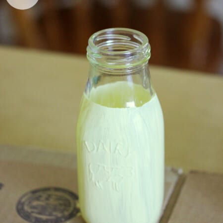 Easy Milk Bottle Craft