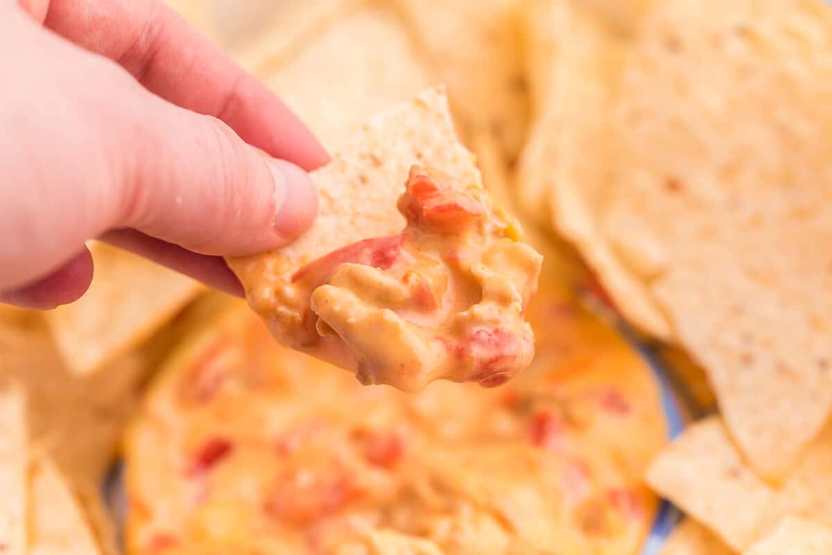 Chicken Queso Dip - It’s meaty, creamy and tastes amazing on top of a tortilla chips. This queso dip is seriously addicting!