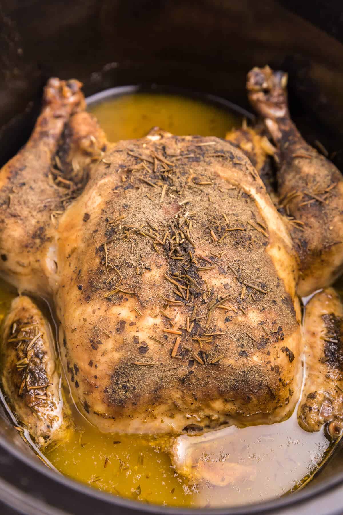 Close up of the whole chicken in the slow cooker.