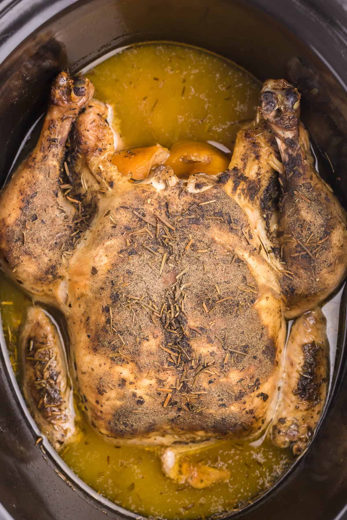 Lemon Herb Slow Cooker Chicken - Roast a whole chicken in your Crockpot! This easy chicken recipe is so much juicier with lemon juice and a succulent herb blend.