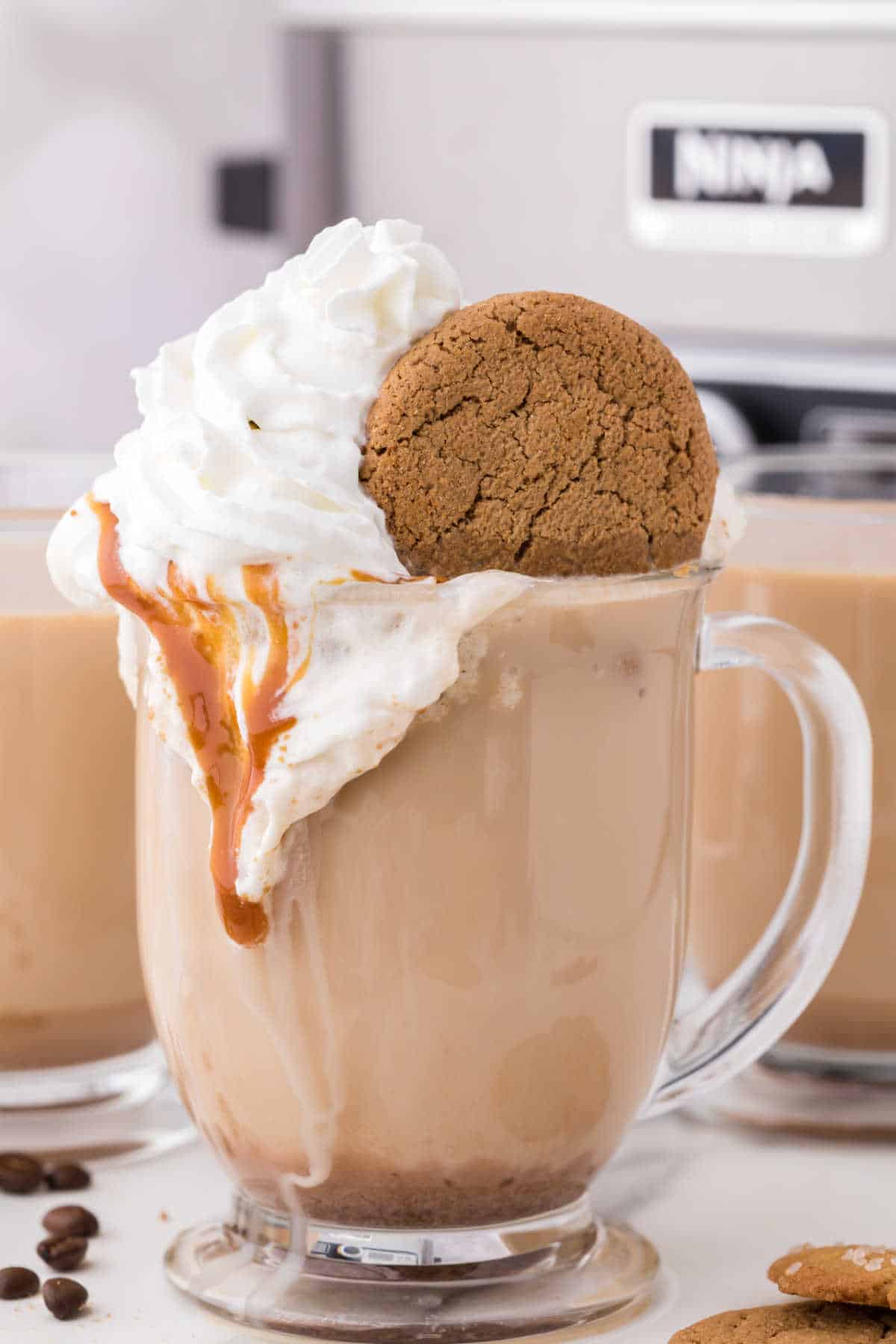 Gingerbread latte with whipped cream and a cookie.