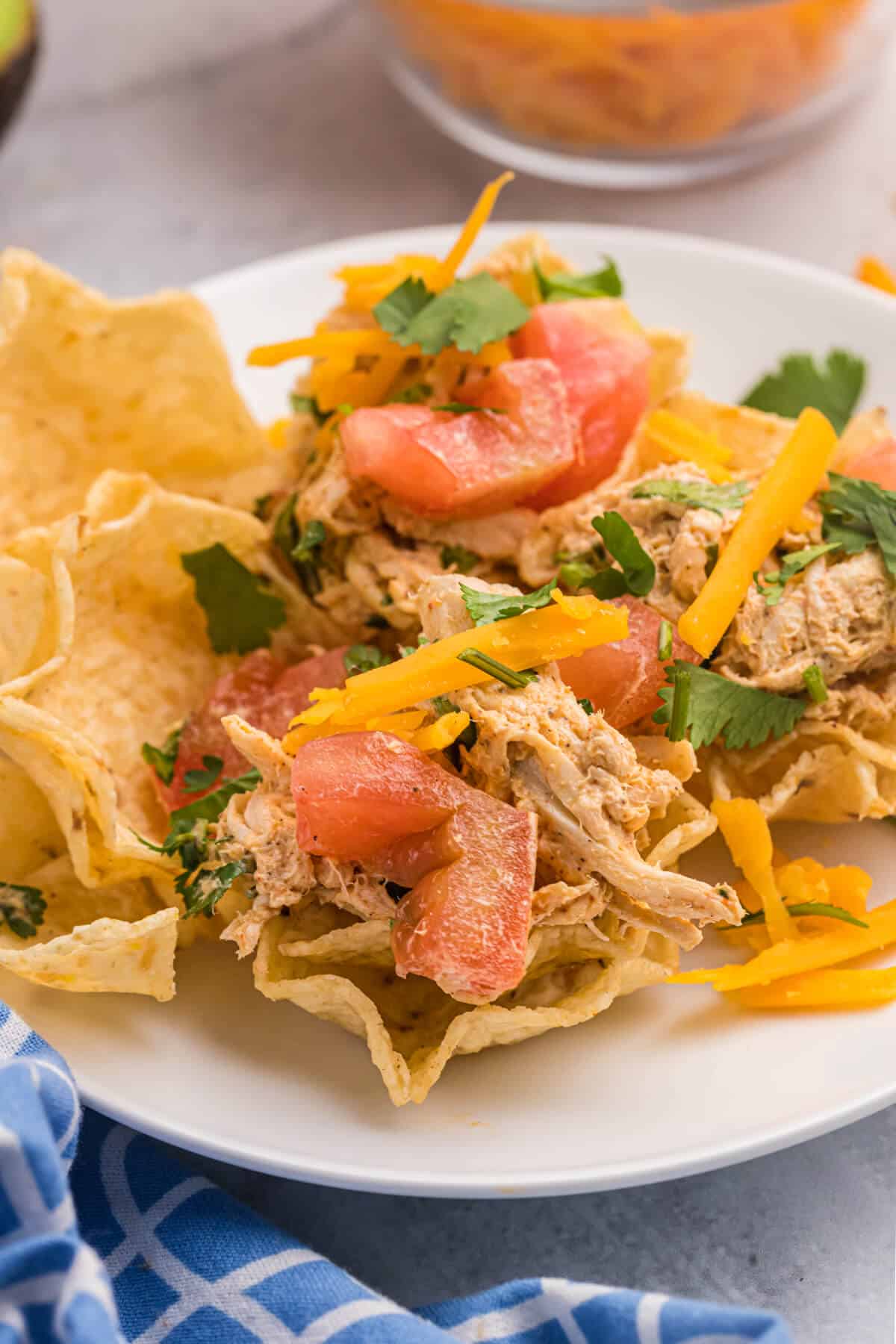 Taco chicken salad in a tortilla bowl.