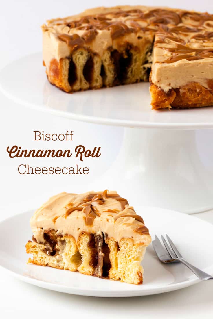 Biscoff Cinnamon Roll Cheesecake - An over-the-top dessert made with fresh cinnamon rolls and cheesecake topping swirled with Biscoff spread!