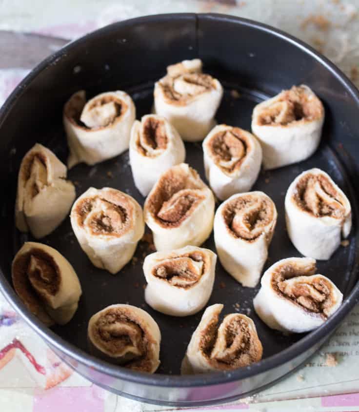 Biscoff Cinnamon Roll Cheesecake - An over-the-top dessert made with fresh cinnamon rolls and cheesecake topping swirled with Biscoff spread!