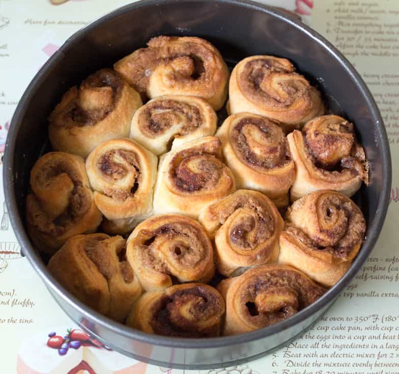 Biscoff Cinnamon Roll Cheesecake - An over-the-top dessert made with fresh cinnamon rolls and cheesecake topping swirled with Biscoff spread!