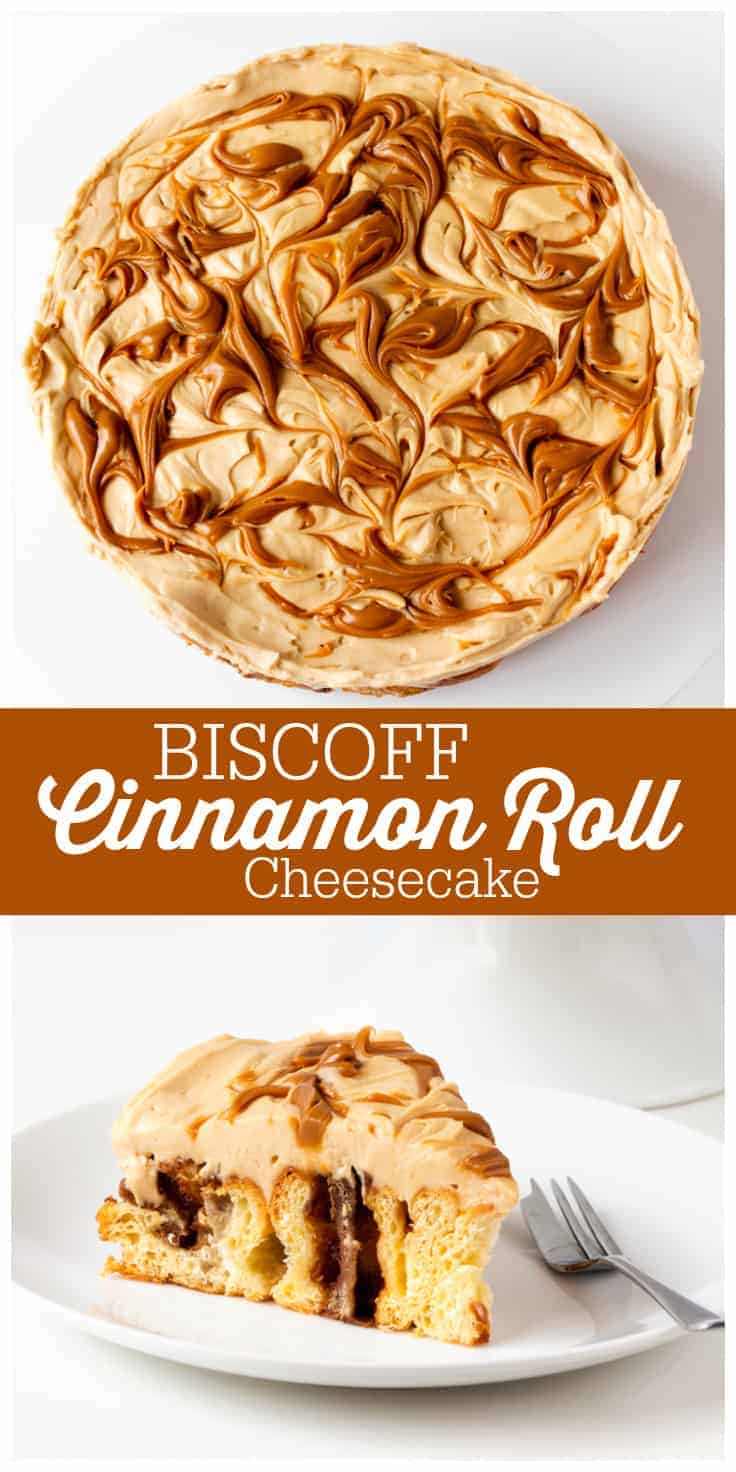 Biscoff Cinnamon Roll Cheesecake - An over-the-top dessert made with fresh cinnamon rolls and cheesecake topping swirled with Biscoff spread!