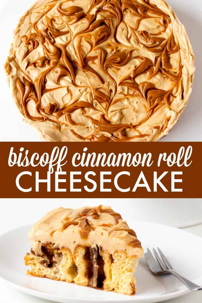 Biscoff Cinnamon Roll Cheesecake - An over-the-top dessert made with fresh cinnamon rolls and cheesecake topping swirled with Biscoff spread!